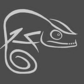 Chameleon Education & Outreach